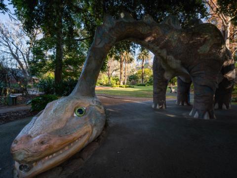 Botanic Gardens Childrens Garden 3